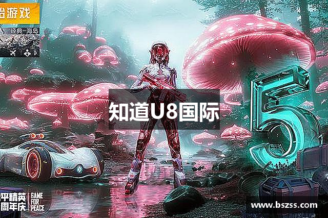 知道U8国际
